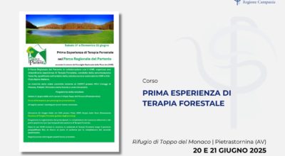 20 e 21 giugno 2025: Prima esperienza di Terapia Forestale