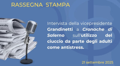 Rassegna Stampa